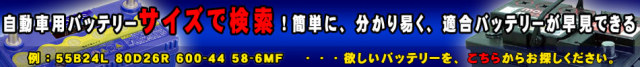 size-banner
