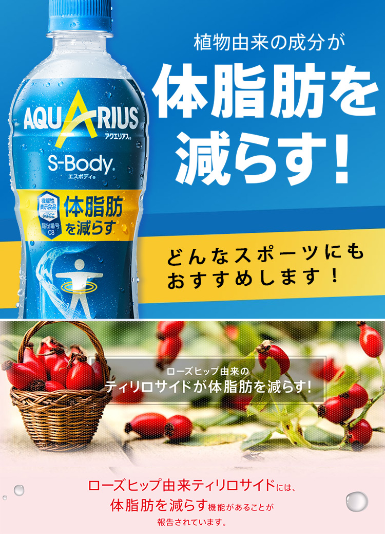 している コカ・コーラ アクエリアス エスボディ PET 500ml 48本(24本×2ケース) 機能性表示食品 (直送品) ケンコーエクスプレス -  通販 - PayPayモール はありませ - shineray.com.br